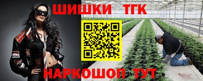 apvp Волжск