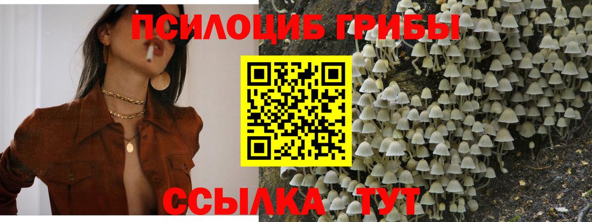  Cocaine Электросталь